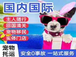云冈空运地址国际宠物托运 【国